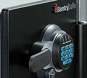 Sentry Safe Caja de Seguridad Ignífuga SFW USB