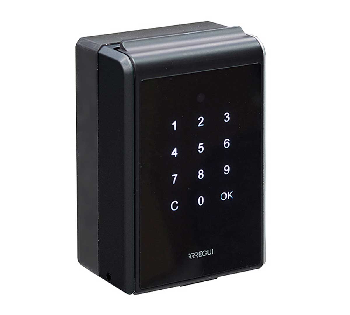 ARREGUI KEEPER-E SEG013 Guardallaves Inteligente, Caja de Seguridad para  Llaves Bluetooth y App Móvil, Caja Fuerte Llaves para Apartamentos  Turísticos
